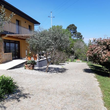 Quinta Do Senhor Villa Braga Dış mekan fotoğraf