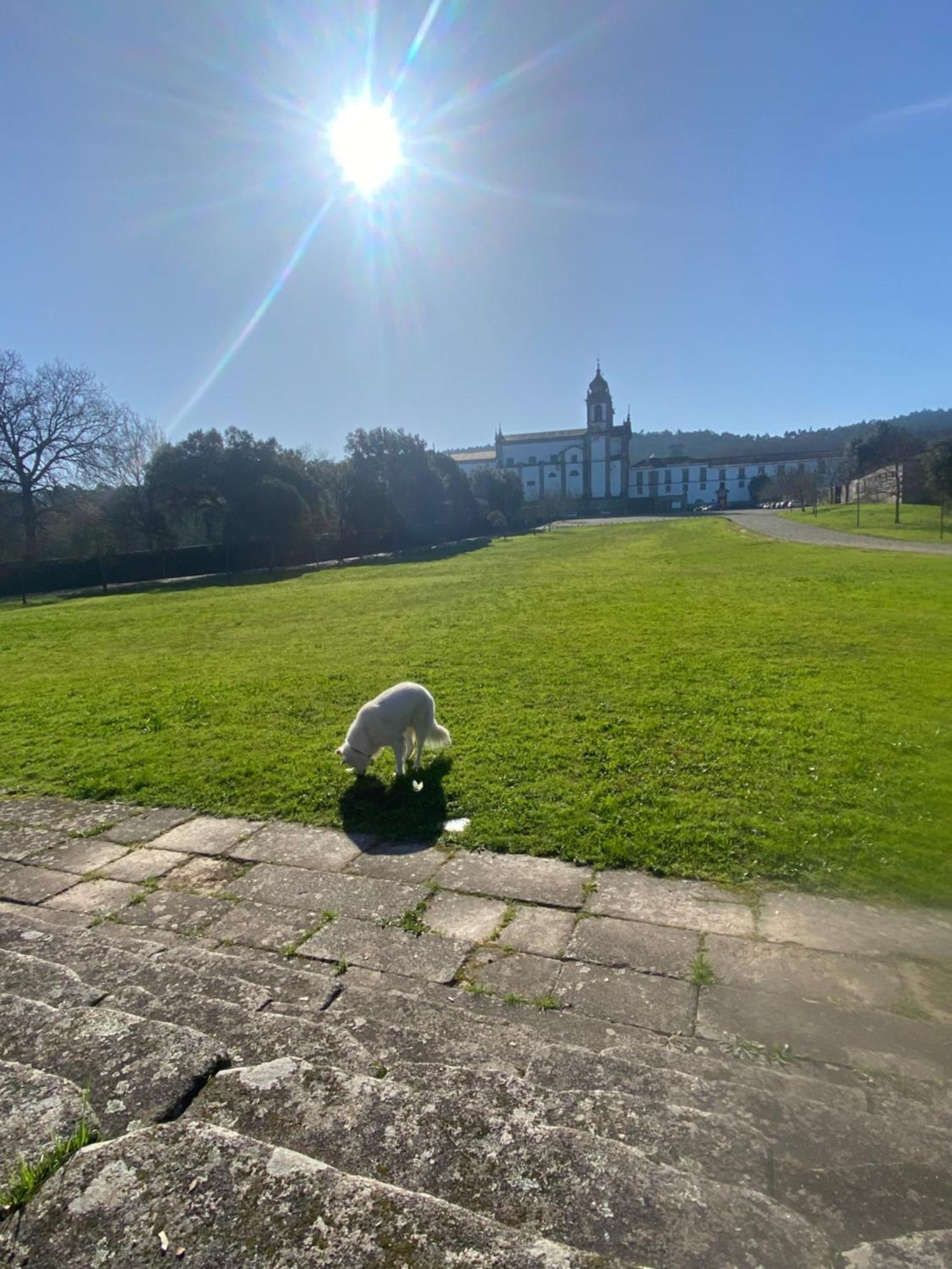 Quinta Do Senhor Villa Braga Dış mekan fotoğraf