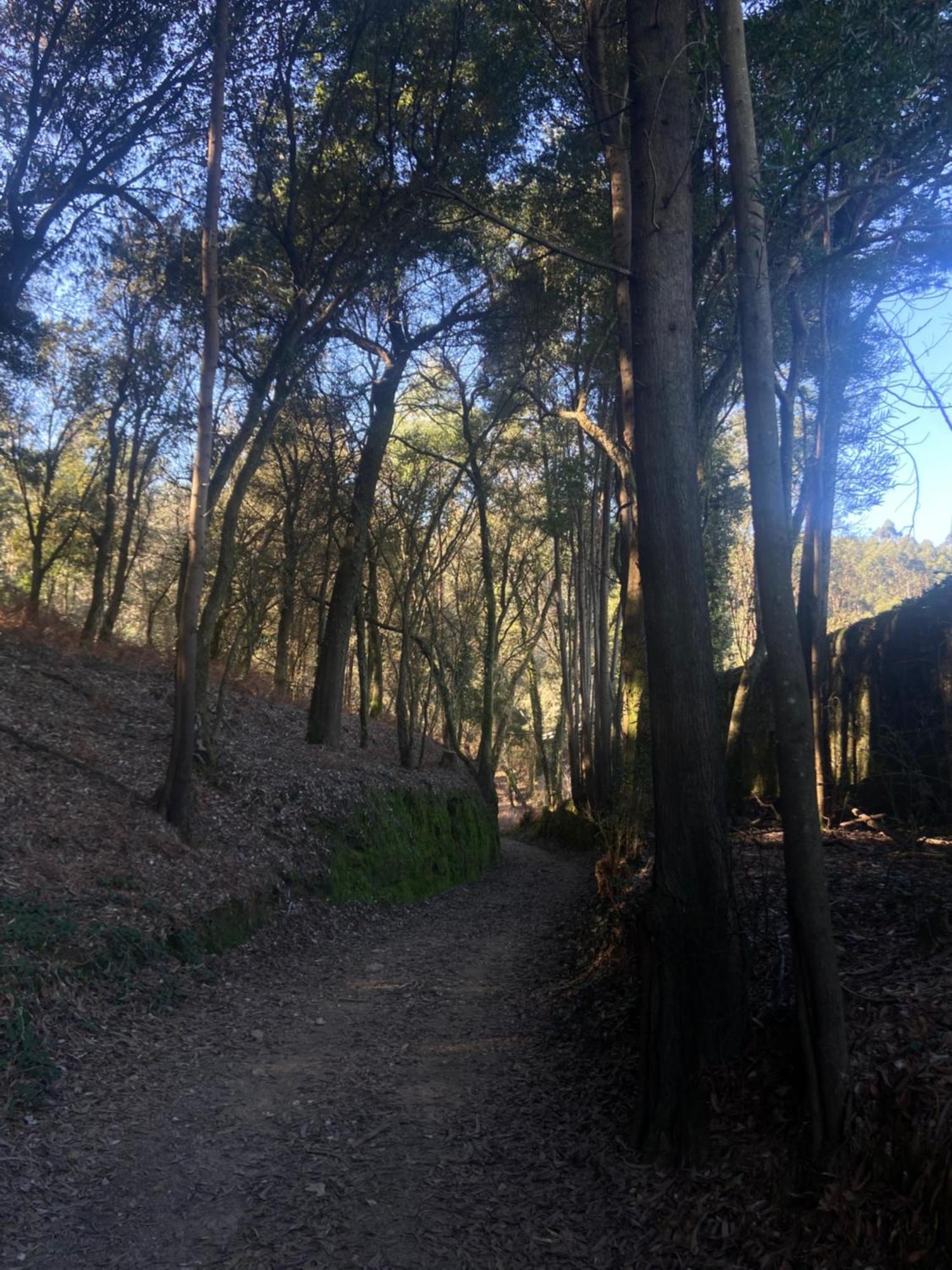 Quinta Do Senhor Villa Braga Dış mekan fotoğraf