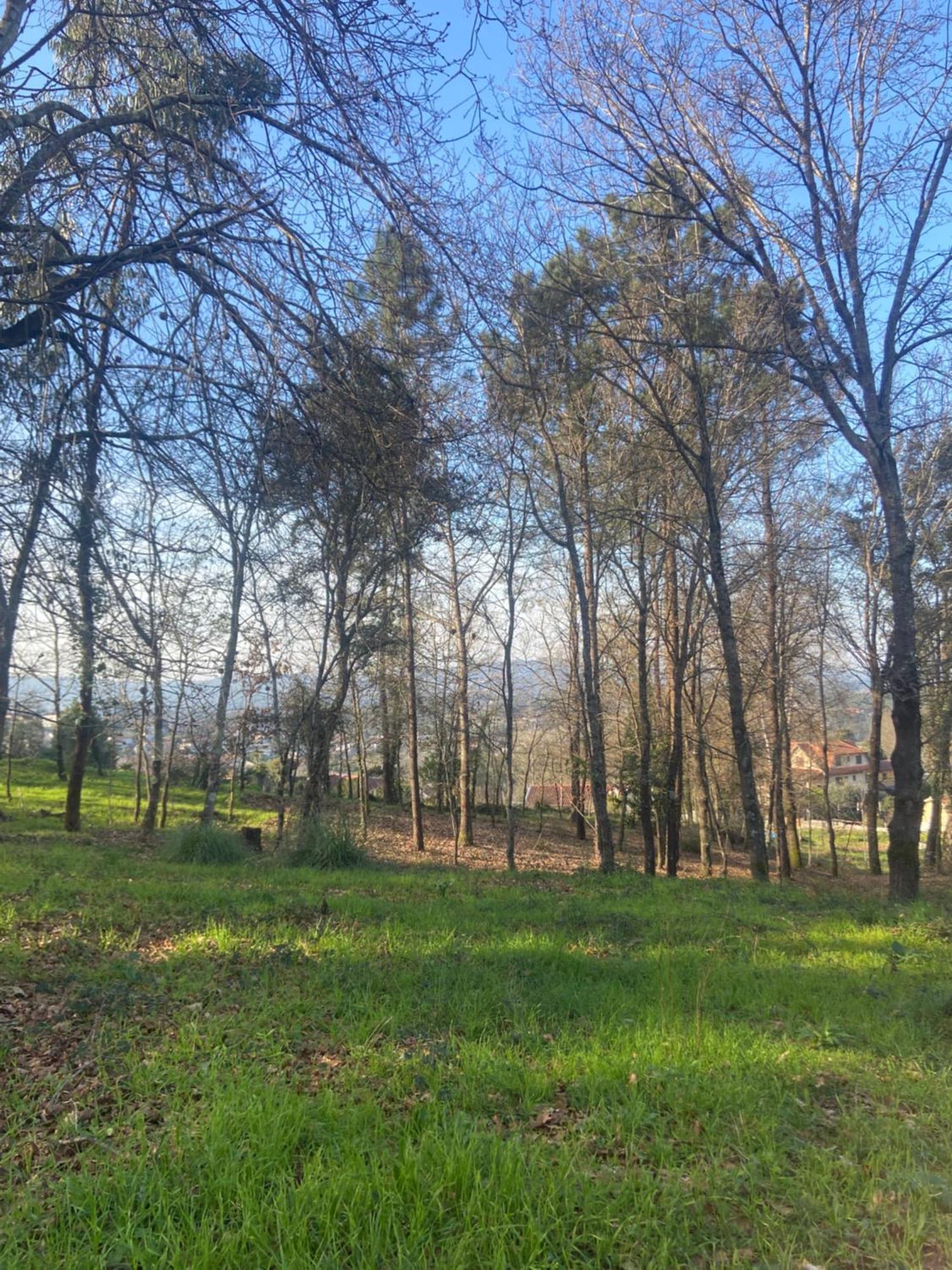 Quinta Do Senhor Villa Braga Dış mekan fotoğraf