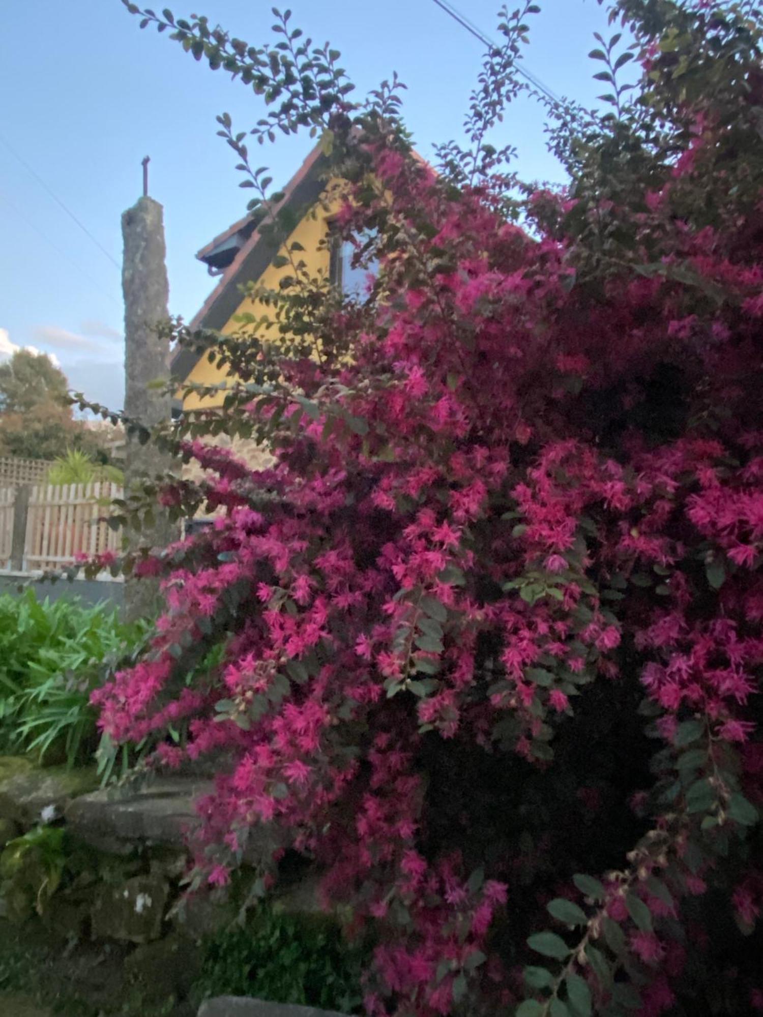 Quinta Do Senhor Villa Braga Dış mekan fotoğraf