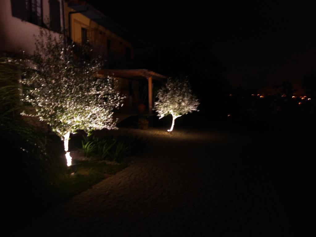 Quinta Do Senhor Villa Braga Dış mekan fotoğraf