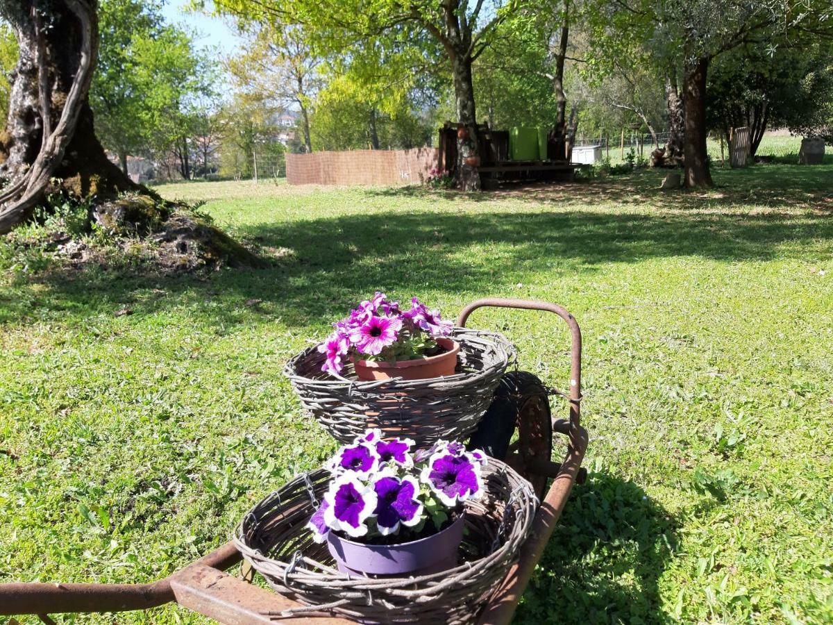 Quinta Do Senhor Villa Braga Dış mekan fotoğraf