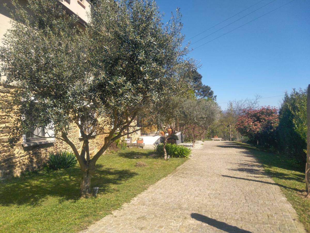 Quinta Do Senhor Villa Braga Dış mekan fotoğraf